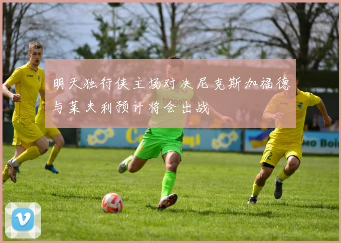 明天独行侠主场对决尼克斯加福德与莱夫利预计将会出战